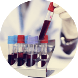 Faiblesse du système immunitaire