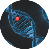 Certaines pathologies hormonales