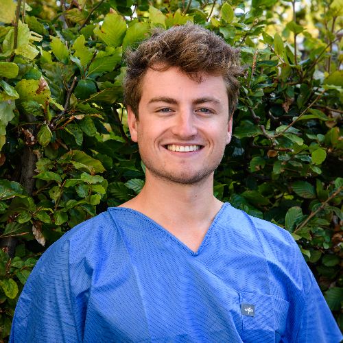 Lenny De Scheemaeker Dentist | doctoranytime