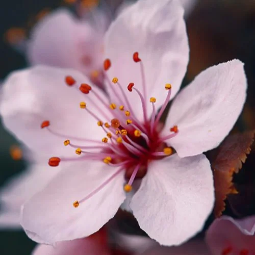 Dr Assia Faitah (Médecin Généraliste): Prenez rendez-vous en ligne