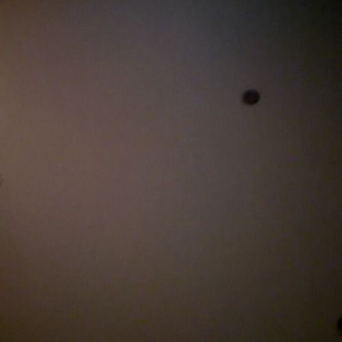 Yan Halima (Coach en nutrition et en gestion du poids, spécialisée en nutrition naturelle) | doctoranytime