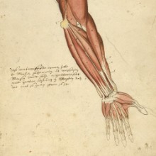 Antoine Vanderlinden